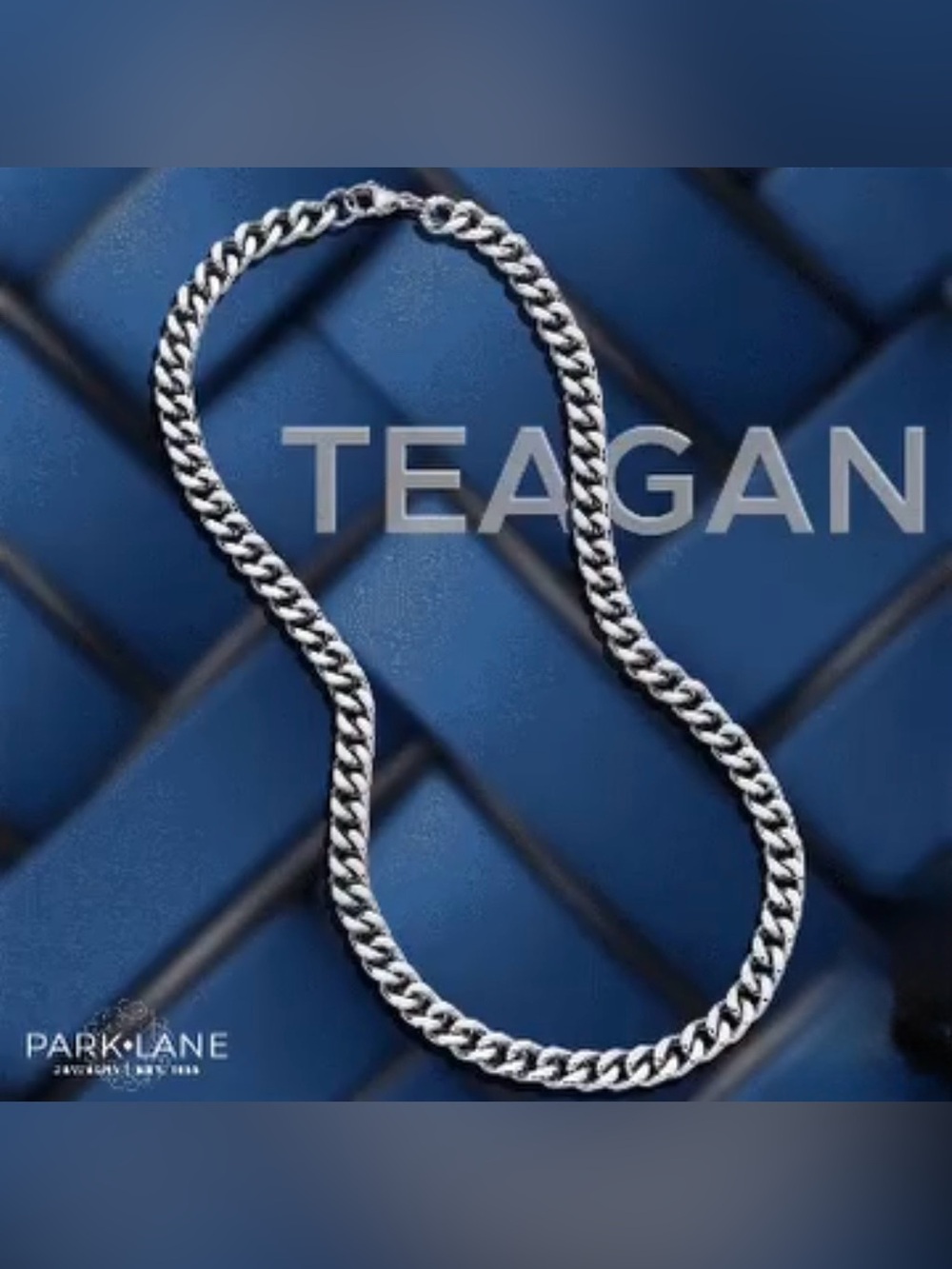 PARK LANE TEAGAN Silver Chain Necklace! BNIB!!